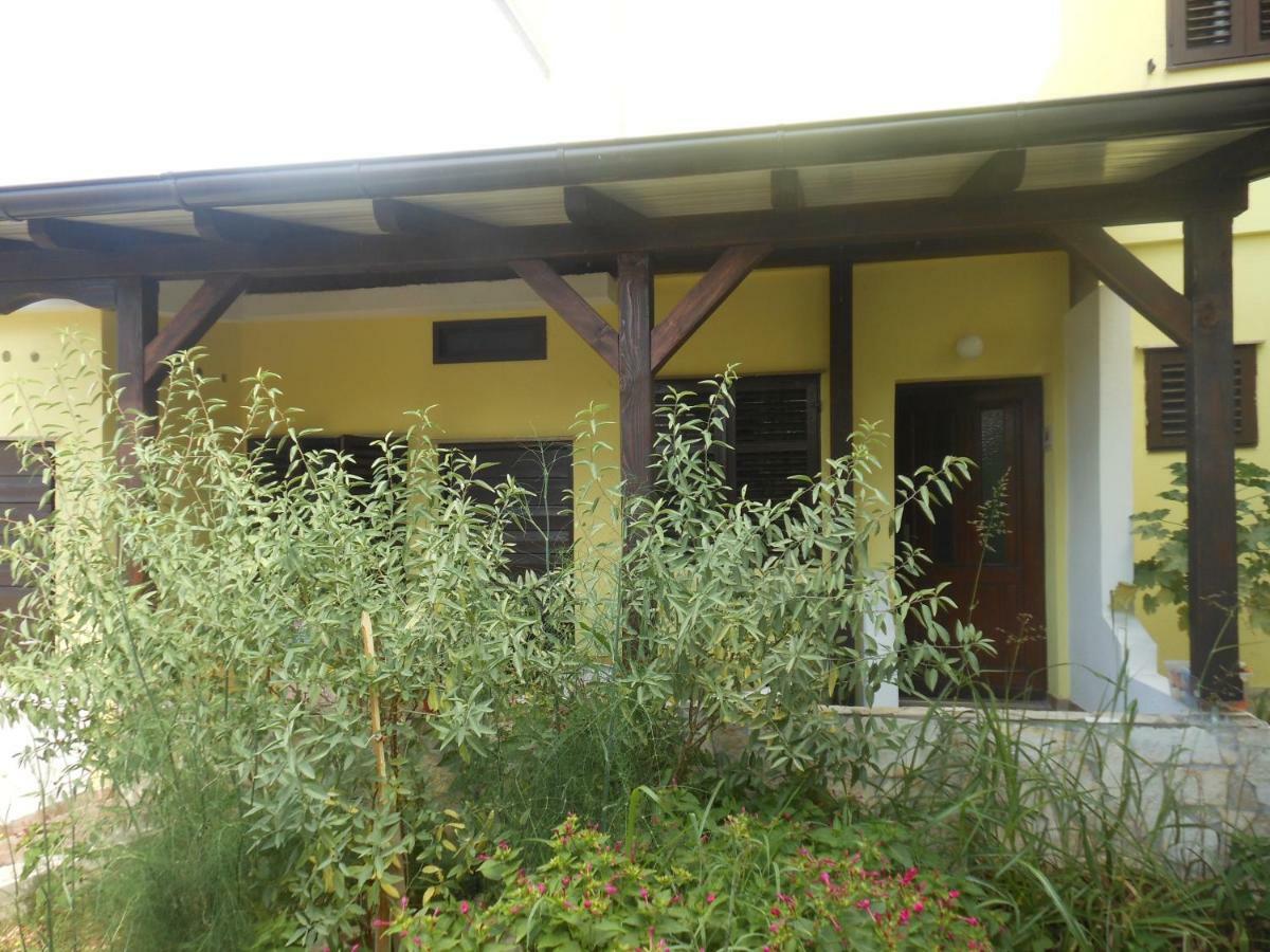 Donami Apartments Pag Town Zewnętrze zdjęcie