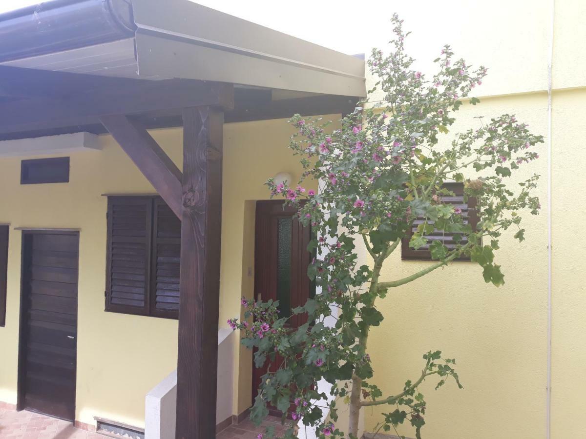 Donami Apartments Pag Town Zewnętrze zdjęcie
